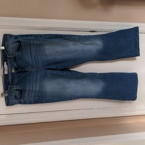 Torrid Slim Boot jeans
